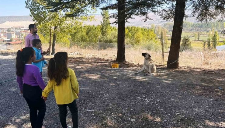 Hisarcık’ta özel öğrencilere hayvanlar tanıtıldı