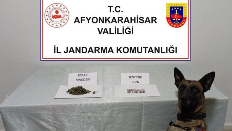 Jandarma uyuşturucu maddeler ele geçirdi
