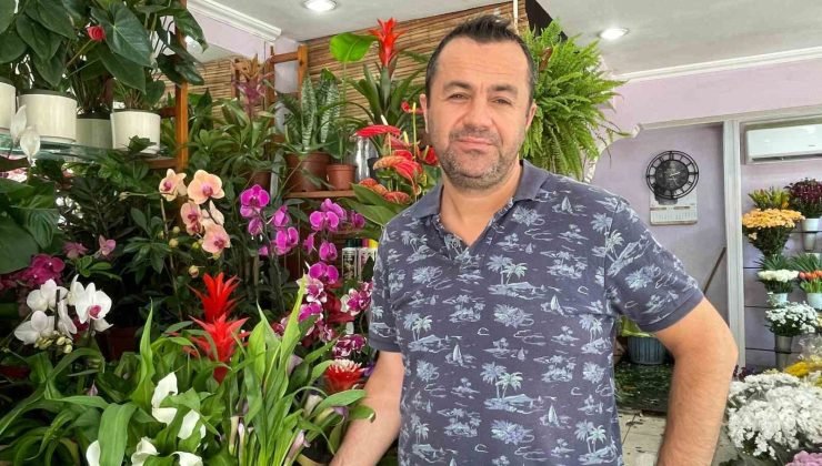 Kış aylarında çiçek bakımında bunlara dikkat