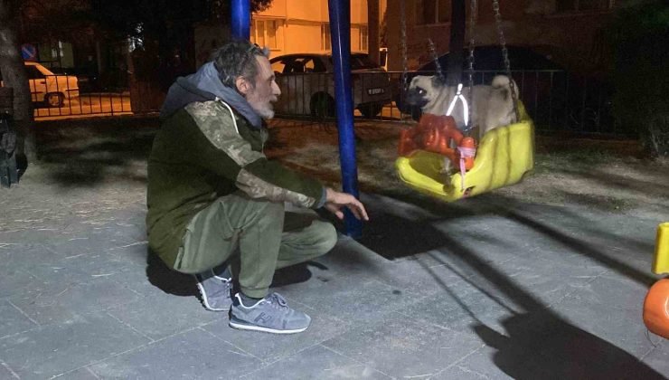 Köpeğini bir bebek gibi salıncakta salladı