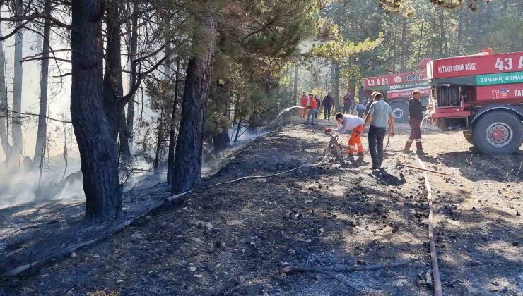 Kütahya’da anız yangını ormana sıçradı