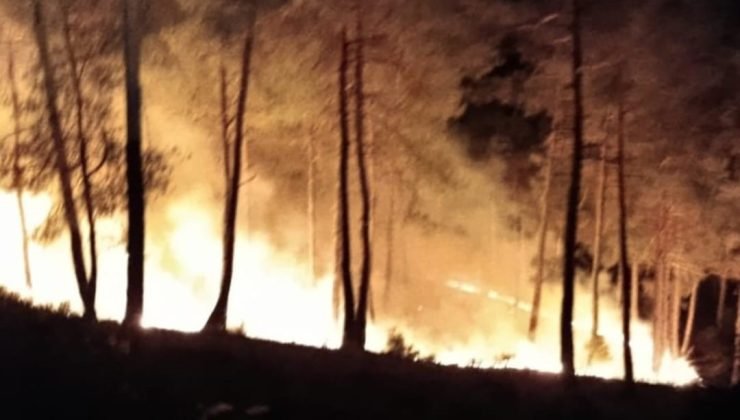 Kütahya’daki orman yangını kısa sürede söndürüldü
