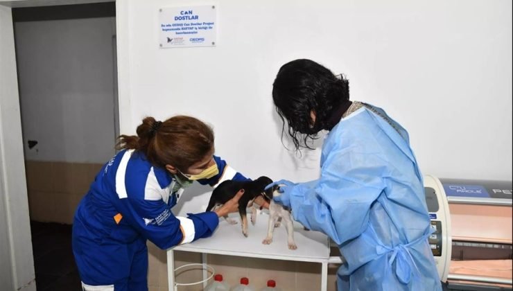 OEDAŞ, ‘Can Dostlar’ için STK ve yerel yönetimlerle iş birliği yapıyor