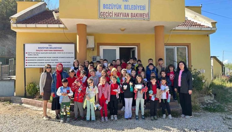 Öğrenciler sokak hayvanlarını yalnız bırakmadı