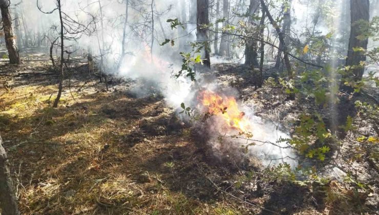 Tavşanlı’da yıldırım kaynaklı çıkan 4 yangın büyümeden söndürüldü