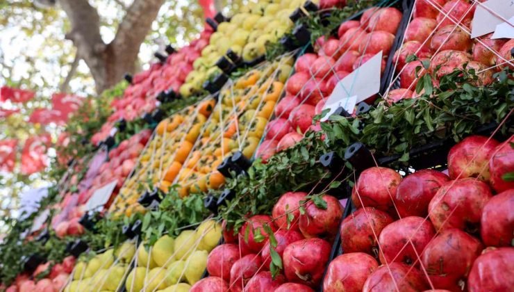 Bilecik nar üretiminde Türkiye’de 16’ncı sırada