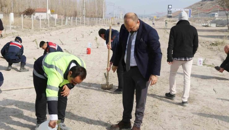 Kütahya OSB’de fidanlar toprakla buluştu