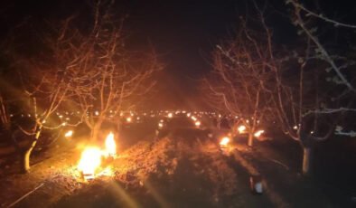 Eskişehir İl Tarım Müdürlüğü, Don Tehlikesine Karşı Alarmda