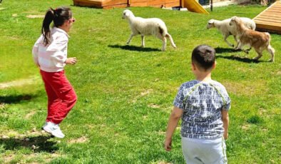 Eskişehir’de Lamia Dayanç Anaokulu’ndan Ezber Bozan Uygulama: Bahçede Kuzularla Eğitim