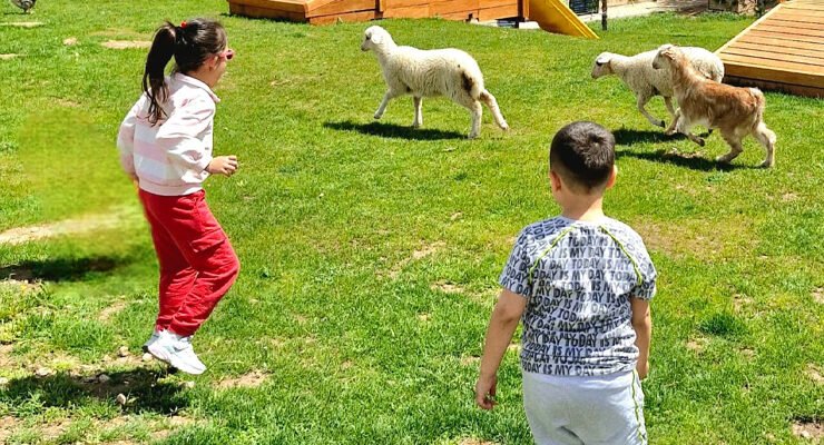 Eskişehir’de Lamia Dayanç Anaokulu’ndan Ezber Bozan Uygulama: Bahçede Kuzularla Eğitim