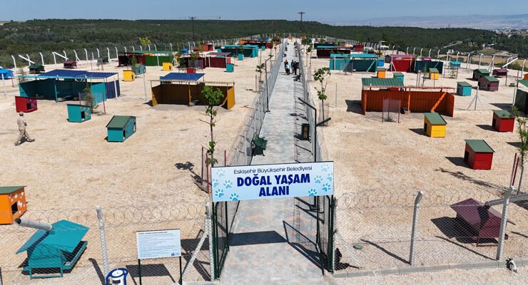 Eskişehir’de Sokak Hayvanları İçin Doğal Yaşam Alanı Açıldı