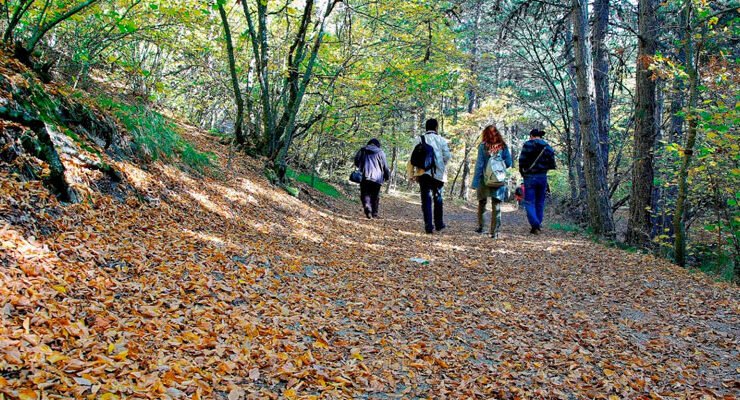 Eskişehir ve Afyon’da Ormanlara Giriş Yasaklanıyor