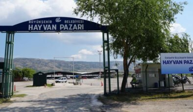 Eskişehir’de Şap Hastalığı Nedeniyle Hayvan Pazarı Kapatıldı