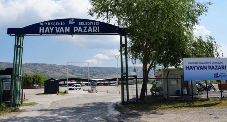 Eskişehir’de Şap Hastalığı Nedeniyle Hayvan Pazarı Kapatıldı