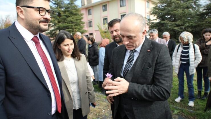 Eskişehir Safran Üretiminde Zirveye Yürüyor