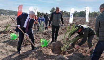 TEI’den 17 Bin Fidanlık 40. Yıl Hatıra Ormanı