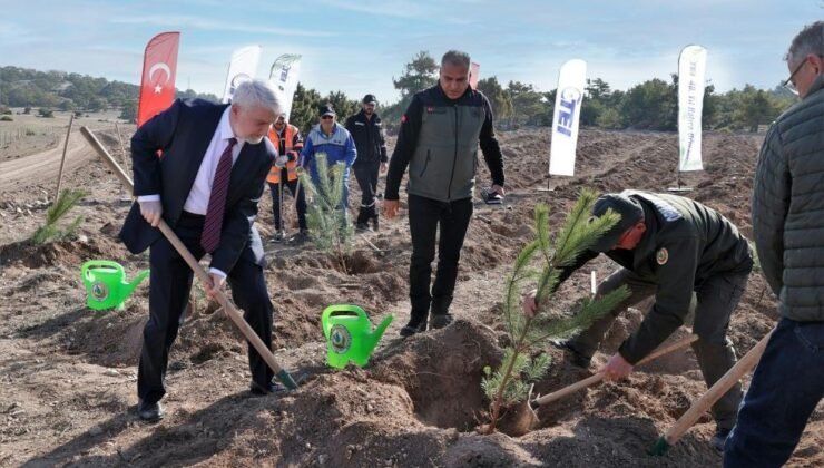 TEI’den 17 Bin Fidanlık 40. Yıl Hatıra Ormanı