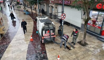 Ordu'da mazgallar bir bir temizleniyor