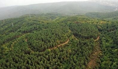 Türkiye’de doğal sit alanı 28 bin 907 kilometrekareye yükseldi