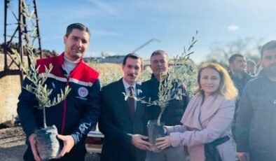 Bozdoğan'da 8 bin 700 fidan dağıtıldı