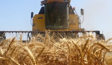 Kasım ayında üreticilere 376,8 milyon lira destek ödemesi yapıldı