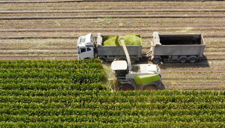 306 milyon liralık tarımsal destekleme ödemesi gerçekleşt