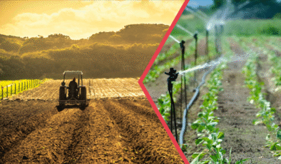 Tarımsal desteklerle ilgili Tarım Bakanlığından açıklama