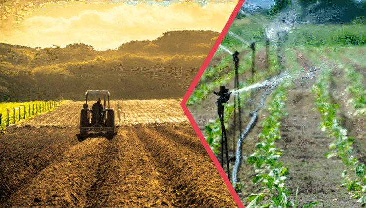 Tarımsal desteklerle ilgili Tarım Bakanlığından açıklama