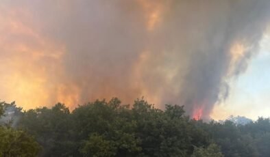 Eskişehir Seyitgazi’de orman yangını: Müdahale sürüyor