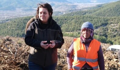 Ağlasun’da endüstriyel ağaçlandırma ile yeşil vatan güçleniyor