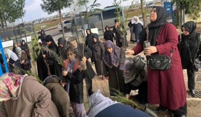 Batman'a ücretsiz fidan dağıtımı