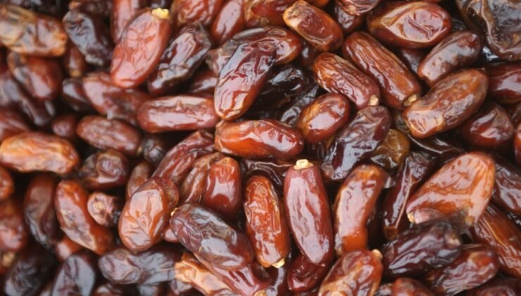 Türkiye’den Filistin’e hurmada kota desteği