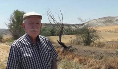 Sivrihisar’da 80 yıllık arazi davasında hasat krizi: Malımıza göz göre göre el konuldu