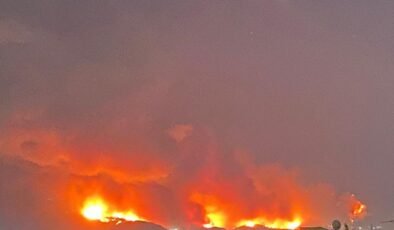 Bursa'da büyük orman yangını: Kül olan alanlar, yaralılar ve yaban hayatı katliamı