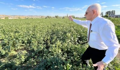 Prof. Dr. Mehmet Haberal, uyarıyor: Üretmeyen aç kalır, başkalarına muhtaç olur