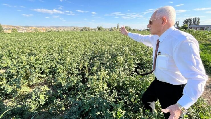Prof. Dr. Mehmet Haberal, uyarıyor: Üretmeyen aç kalır, başkalarına muhtaç olur