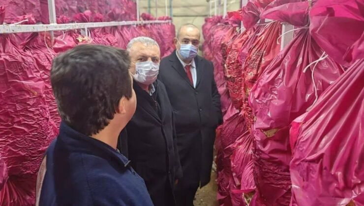 Mantarcılık kursunda teori ve uygulama buluştu