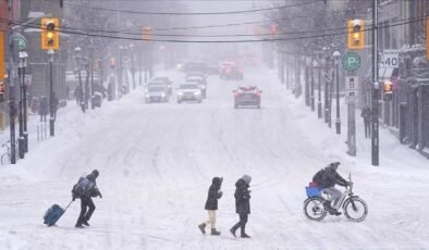 ABD’de şiddetli kış koşulları elektrik kesintilerine yol açtı