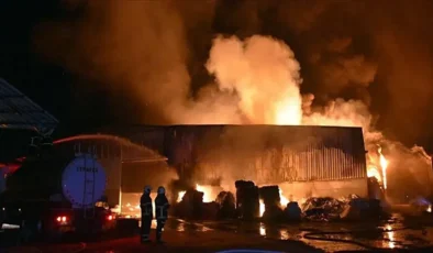 Adana'da parke ve panel üretilen fabrikada yandı…