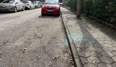 Aynı sokak üzerinden beş aracın camlarını kırıp hırsızlık yaptılar