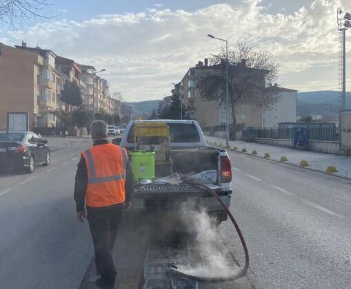 Bilecik’te haşerelere karşı kışlık mücadele