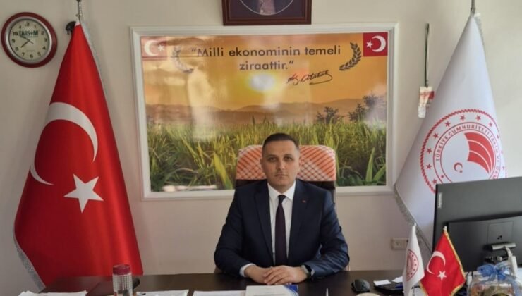 Çiftçilere yüzde 50 hibeli ayçiçeği tohumu dağıtılacak