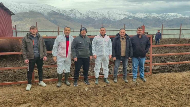 Dinar’da ithal hayvan besiciliği yapılan işletmelere yönelik denetim