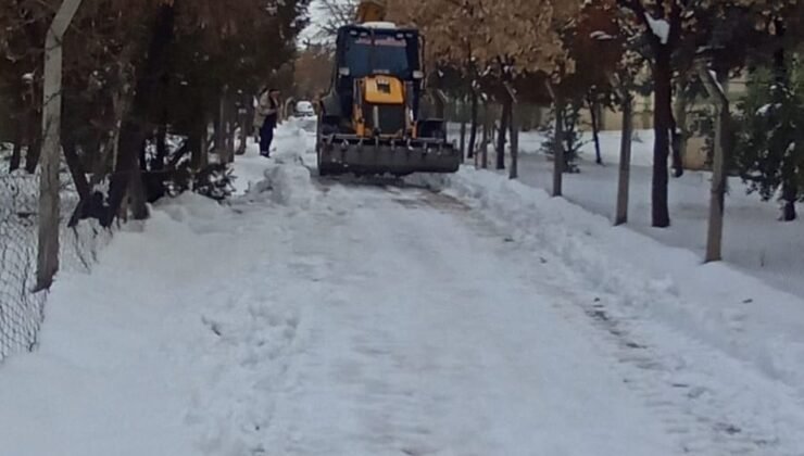 Doğu Anadolu’da kar engeli