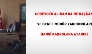 Görevden alınan daire başkanı ve genel müdür yardımcıları hangi kadrolara atanır?