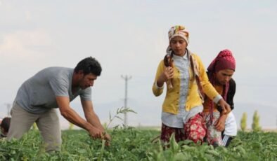Tarım işçileri için 2026 yevmiye tavsiyesi açıklandı