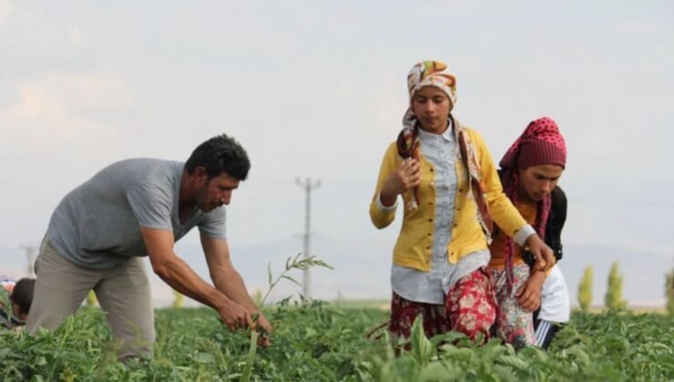 Tarım işçileri için 2026 yevmiye tavsiyesi açıklandı