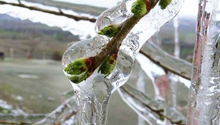 Antalya’da yayla dondu