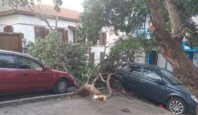 Antalya Kaş’ta fırtınanın izleri gün ağarınca ortaya çıktı