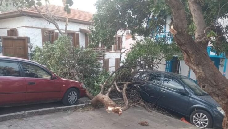 Antalya Kaş’ta fırtınanın izleri gün ağarınca ortaya çıktı